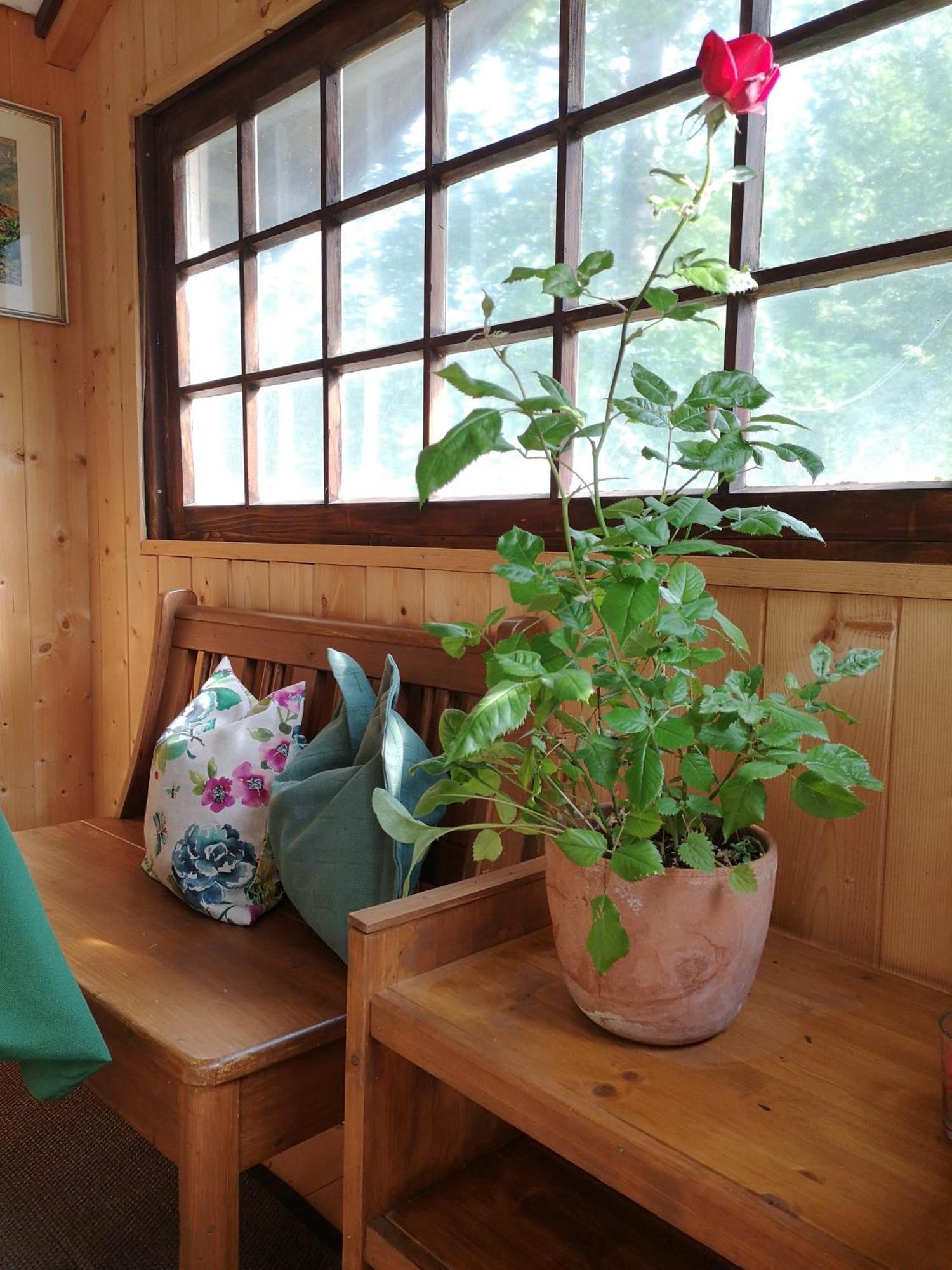 Ferienwohnung Schmidt - Natur Und Ruhe Schwaigen Phòng bức ảnh